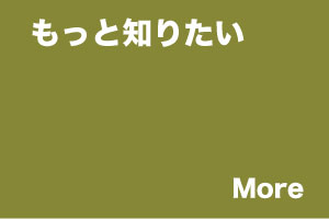 もっと知りたい
